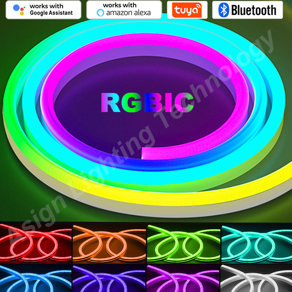App Smart Garden - Tira de LED neón RGBIC, 12V,