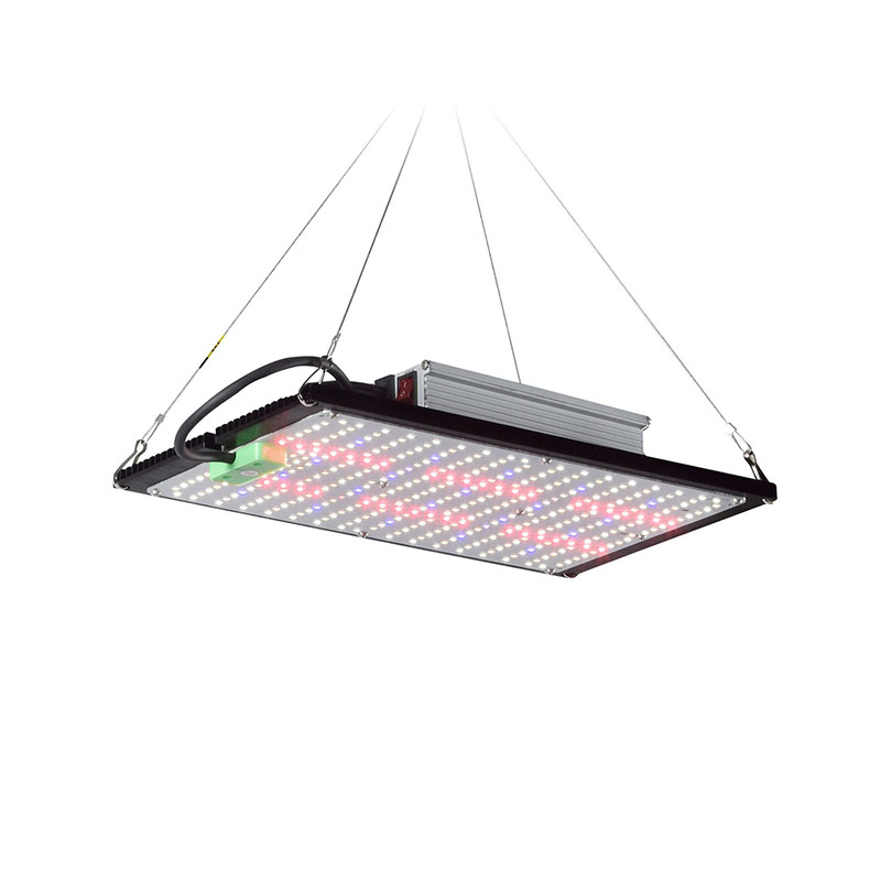 Lámpara de Cultivo LED Quantum - Plant Grow Light Full Spectrum reseña y precio