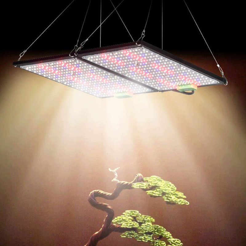 Lámpara de Cultivo LED Quantum - Plant Grow Light Full Spectrum reseña y precio