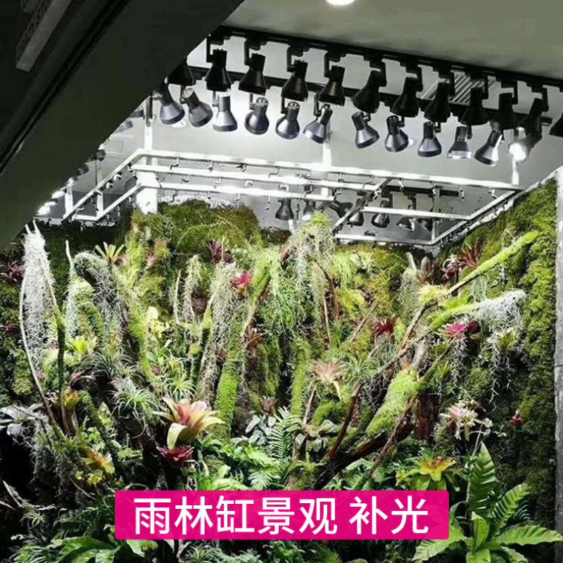 Lámpara LED de espectro comple - Plant Grow Light Full Spectrum reseña y precio