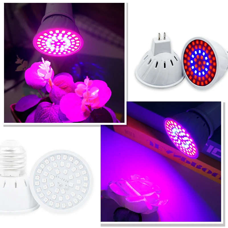 Lámpara Phyto de espectro comp - Plant Grow Light Full Spectrum reseña y precio