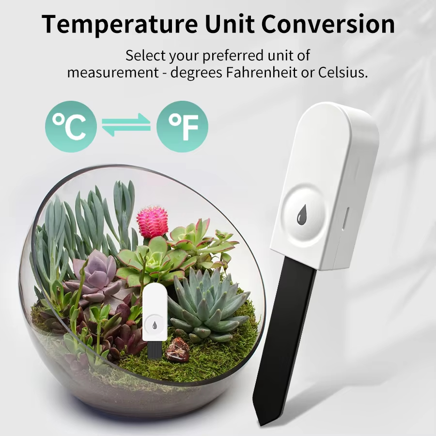 Medidor de Suelo Zigbee Multif - Smart Garden Zigbee reseña y precio