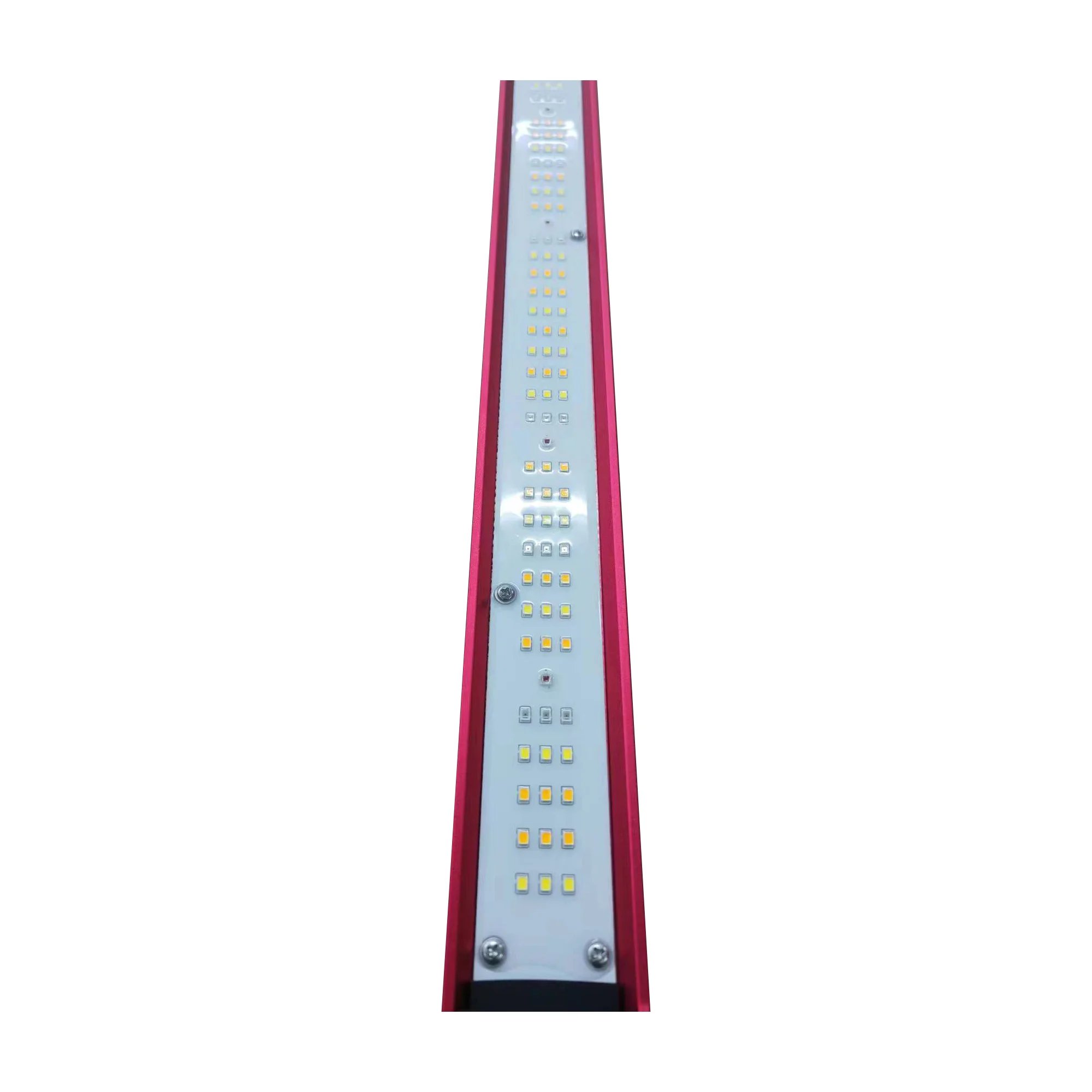 Luz LED de espectro completo p - Plant Grow Light Full Spectrum reseña y precio