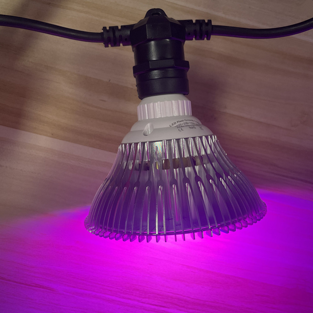 Cadena de luces LED de 10M, re - Smart Garden Lamp reseña y precio