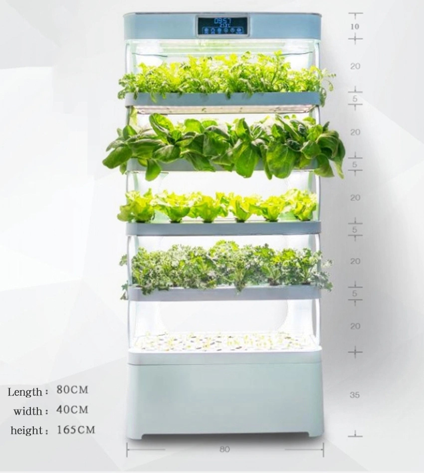 Arming Home Sistemas de cultiv - Smart Garden Home reseña y precio