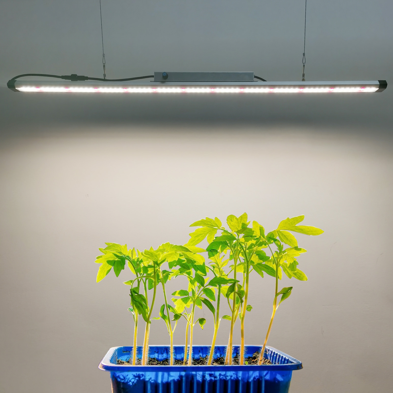 Barra de Luz LED de Espectro C - Plant Grow Light Full Spectrum reseña y precio