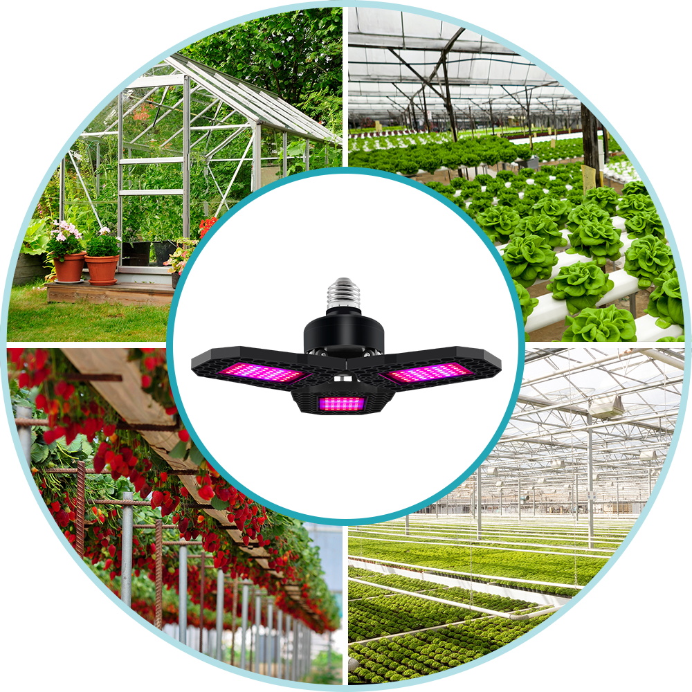 Bombilla LED para Cultivo de P - Plant Grow Light Full Spectrum reseña y precio