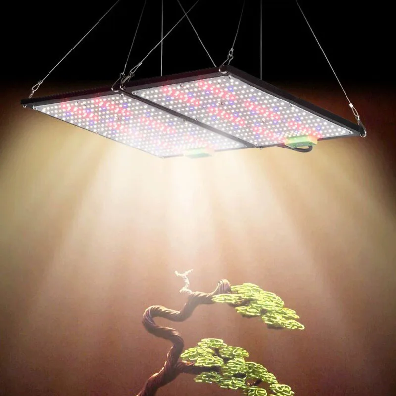Lámpara de Cultivo LED Quantum - Plant Grow Light Full Spectrum reseña y precio